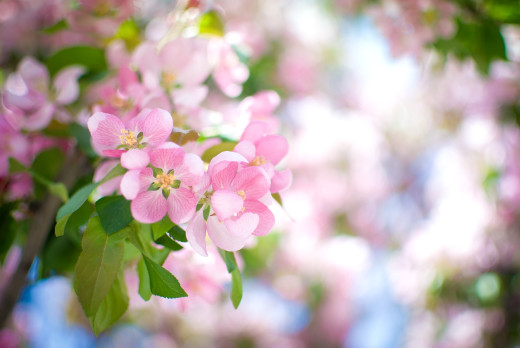 831758 (a): :2600x1740